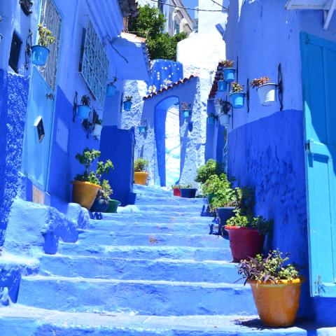 Blue Marrakesh